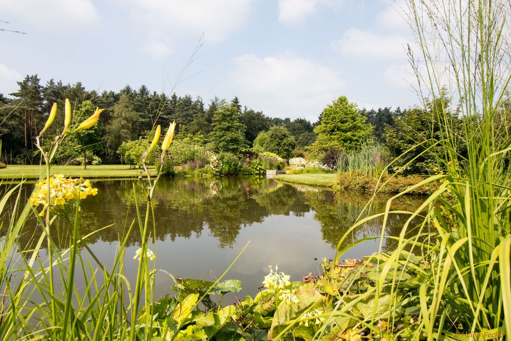 Rhododendronpark Gristede in Wiefelstede