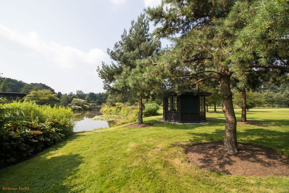 Rhododendronpark Gristede in Wiefelstede