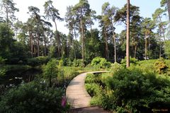 Rhododendronpark Gristede in Wiefelstede