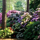 Rhododendronpark "Hobbie"