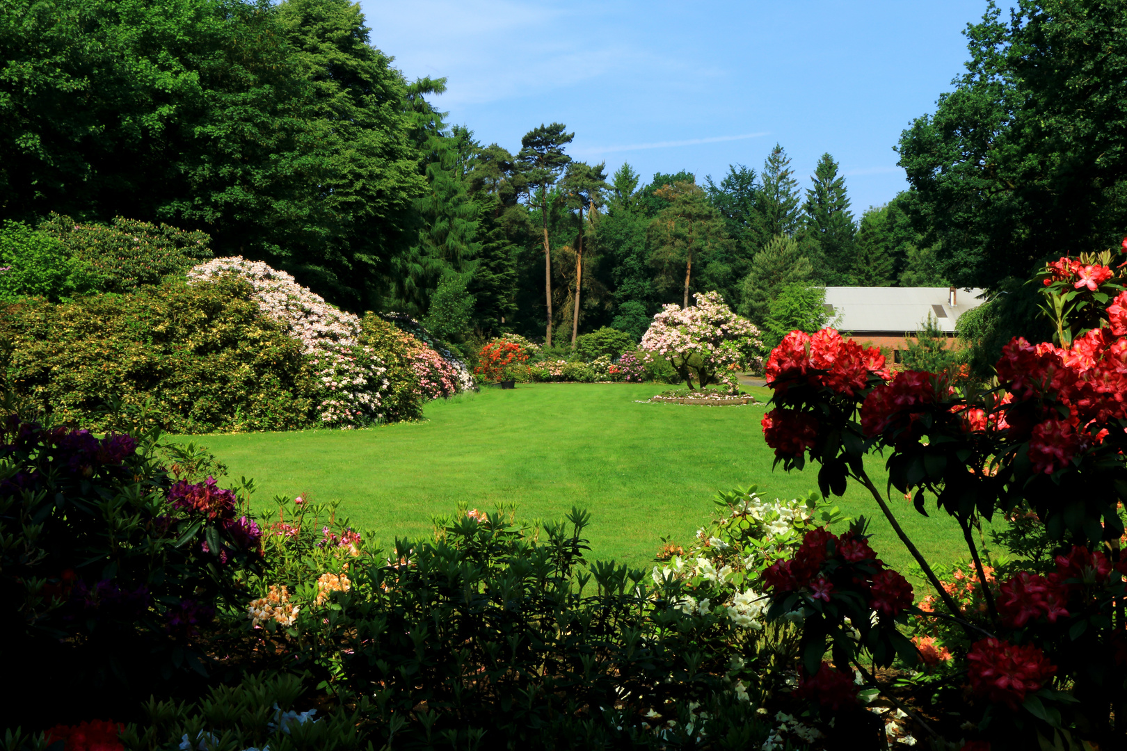 Rhododendronpark "Hobbie" Westerstede