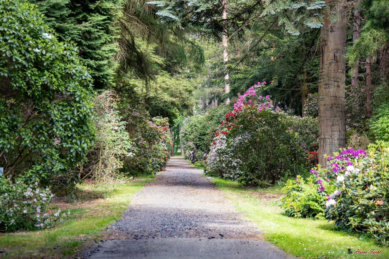 Rhododendronpark Hobby Westerstede