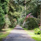 Rhododendronpark Hobby Westerstede