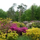Rhododendronpark in Graal Müritz - Immer eine Reise wert