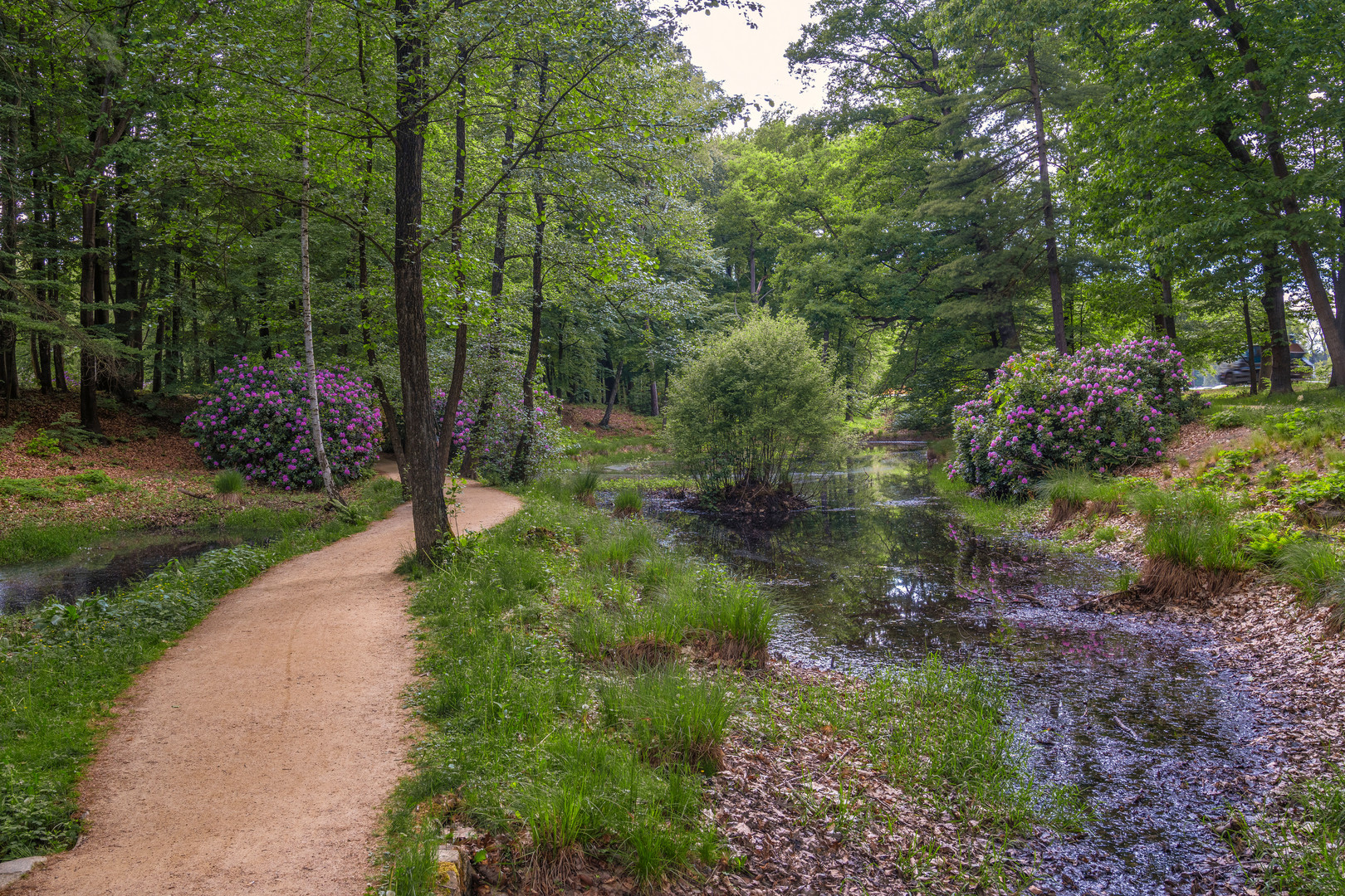 Rhododendronpark Kromlau