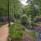 Rhododendronpark Kromlau