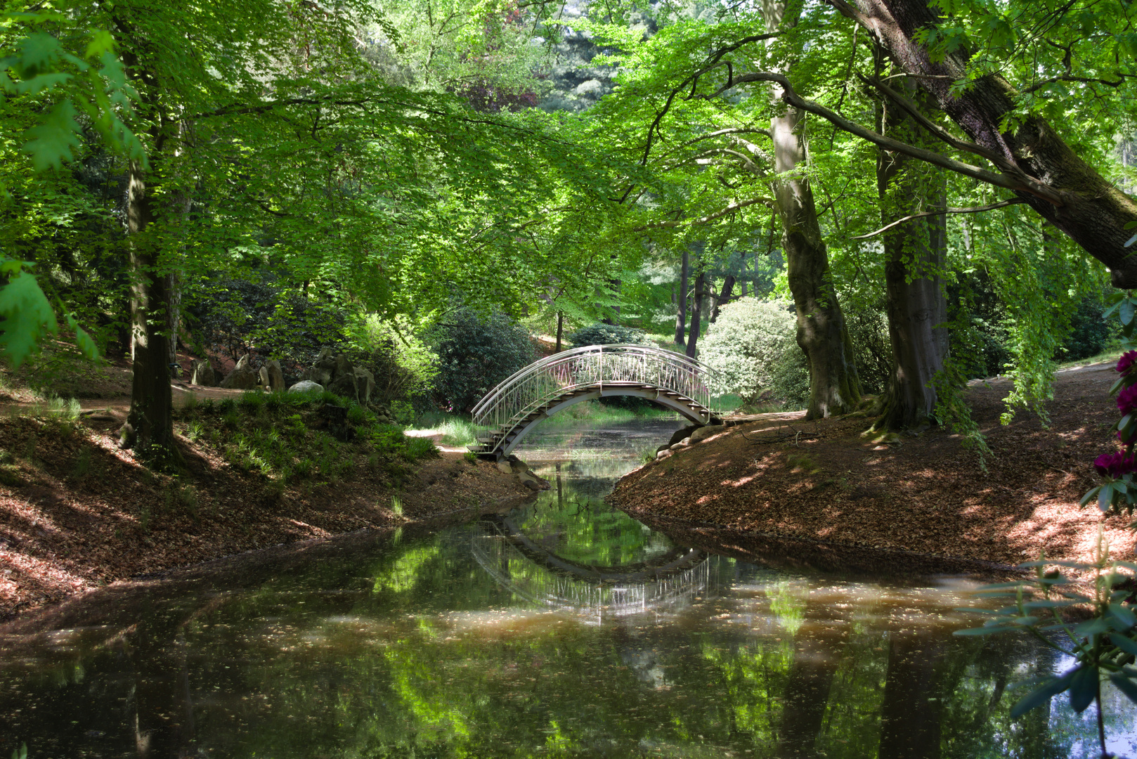 Rhododendronpark Kromlau