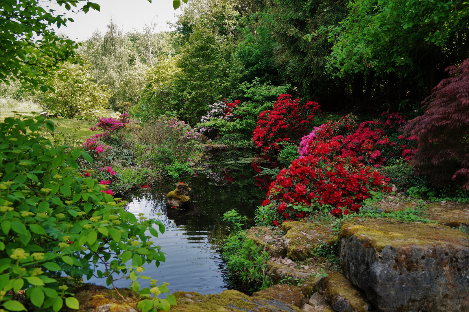 Rhododenronpark...