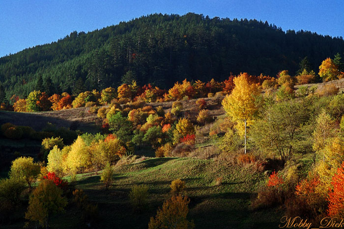 Rhodope Mountain