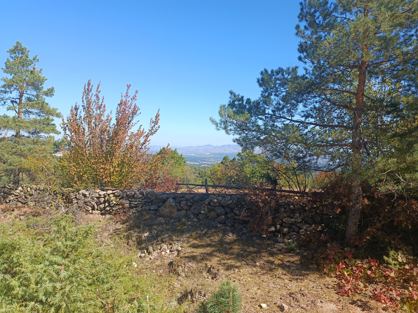 Rhodopen - Naturlandschaft in Bulgarien