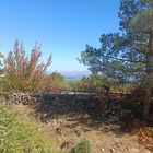 Rhodopen - Naturlandschaft in Bulgarien