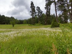 Rhodopen, Osnia.