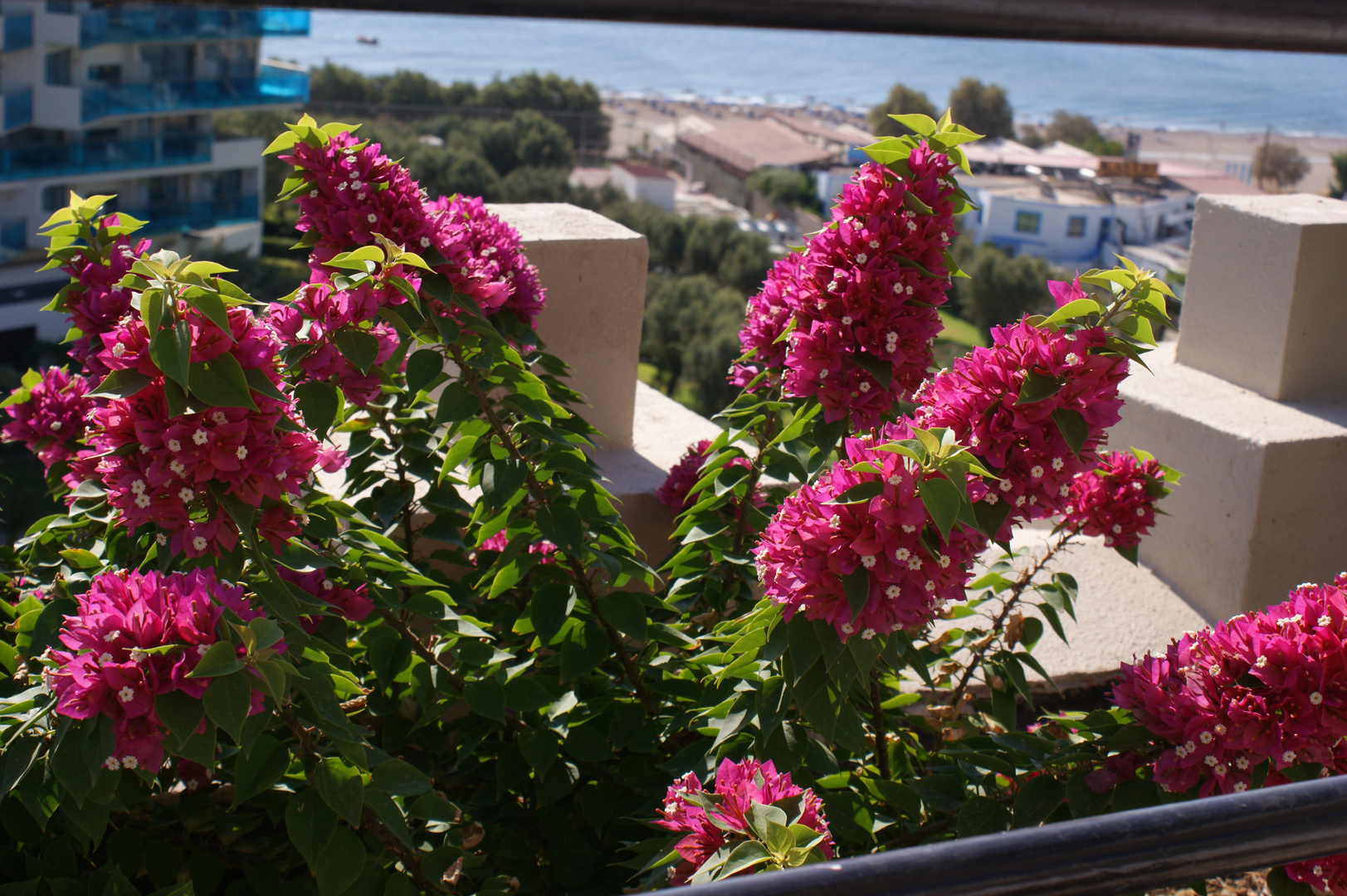 Rhodos - Ausblick von der Hotelterrasse