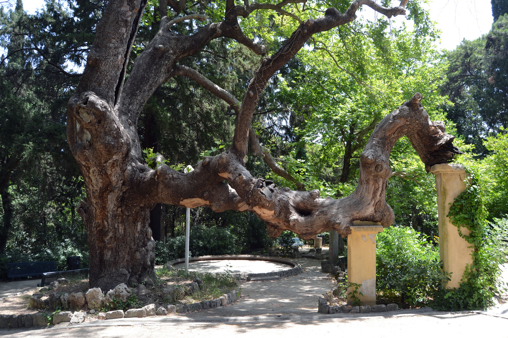 Rhodos, Rodini-Park 1