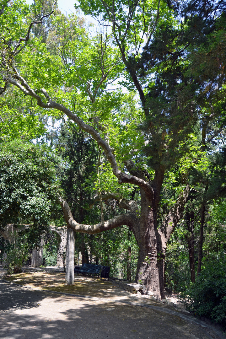 Rhodos, Rodini-Park 2