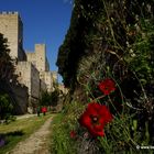 Rhodos - Stadtmauer im Frühling