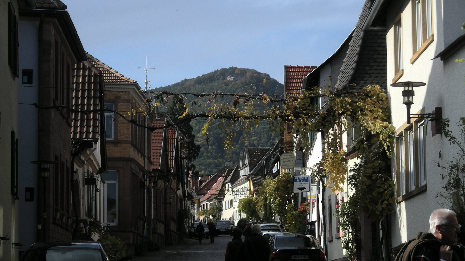 Rhodt unter Rietburg