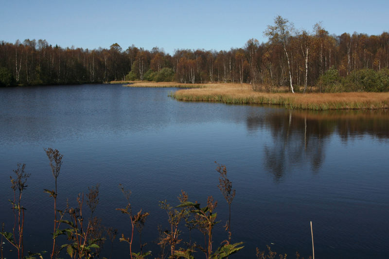 Rhön (1)