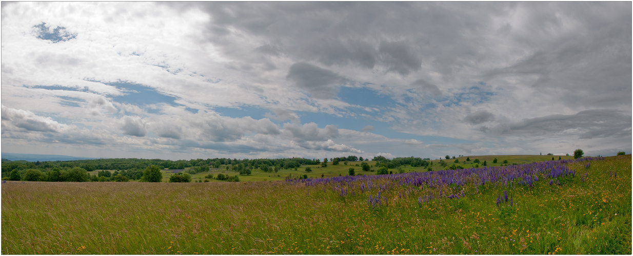 Rhön