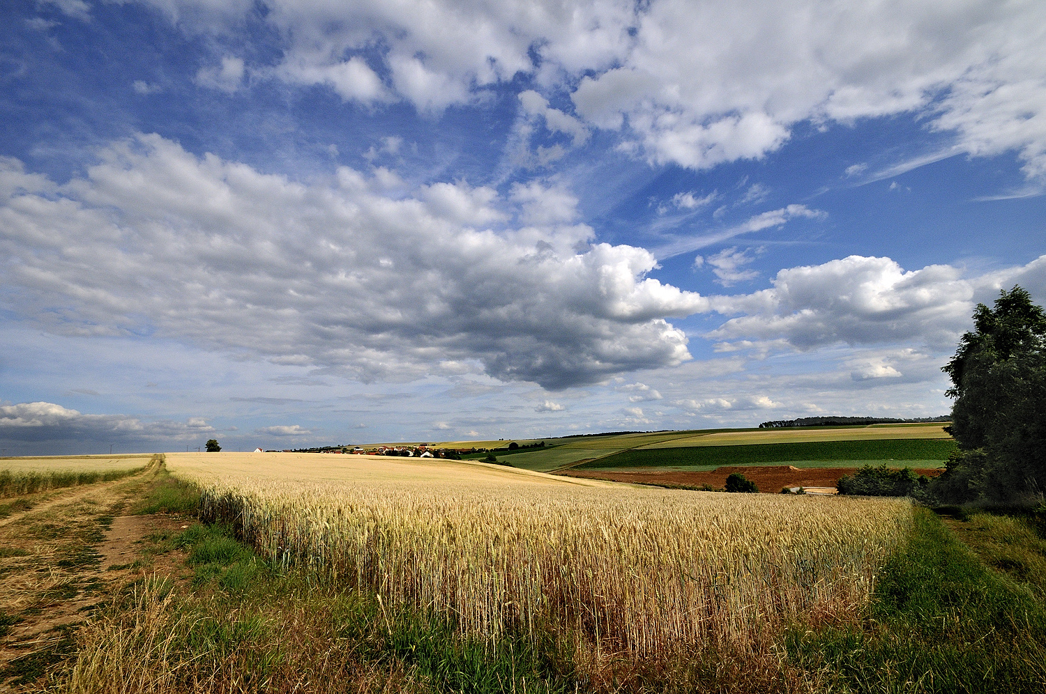 Rhön #2