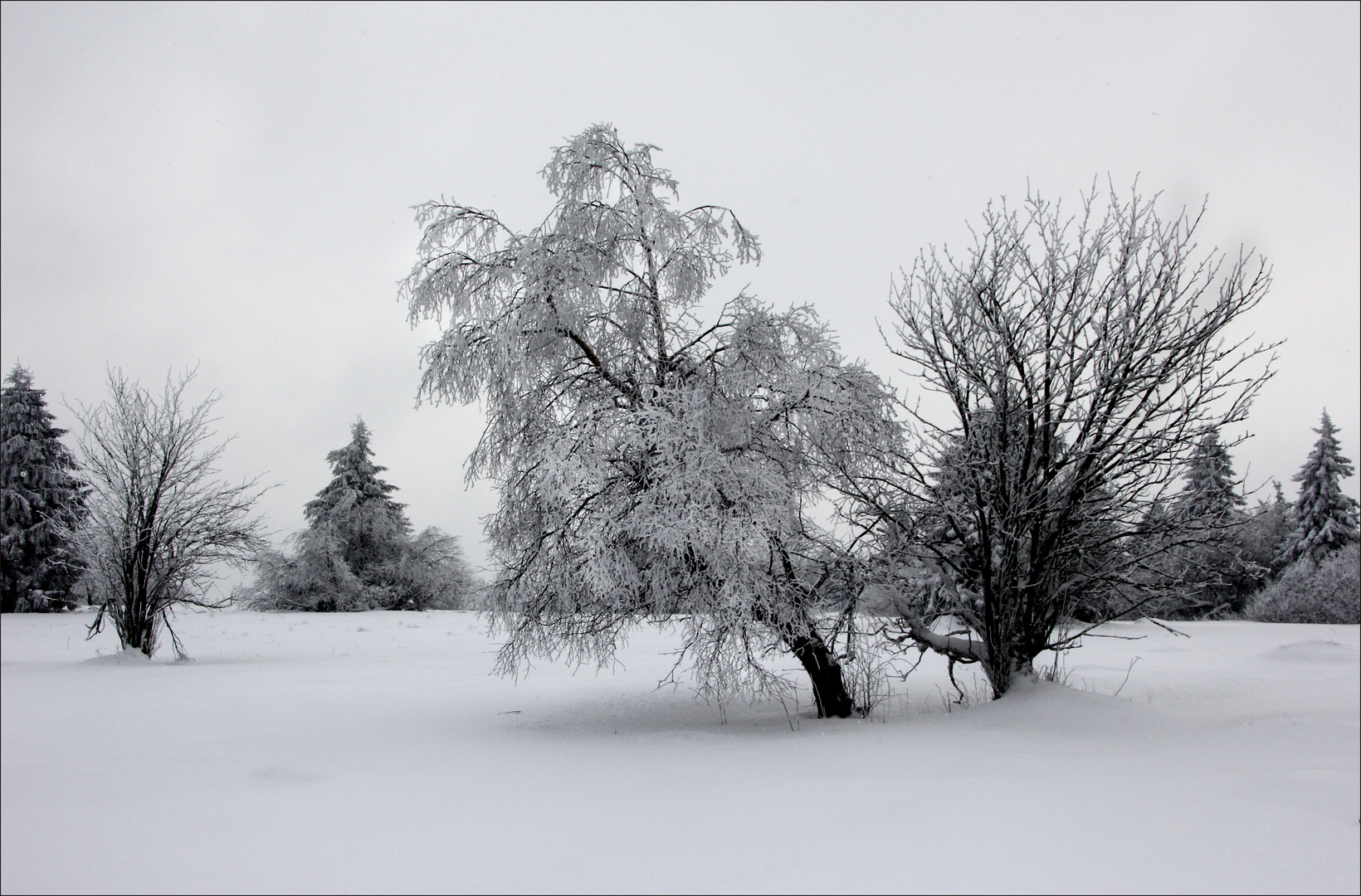 "Rhön 2013"