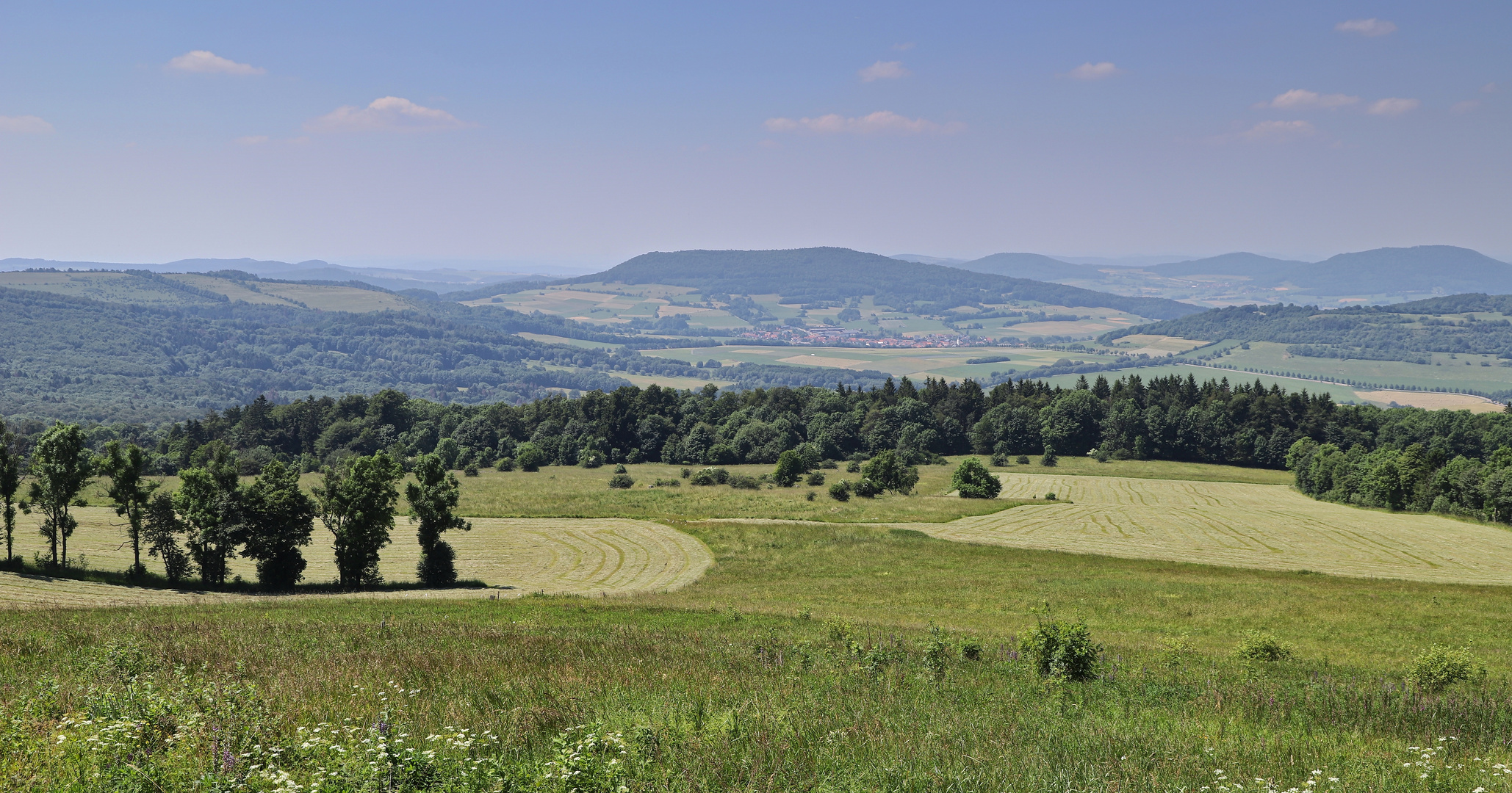 Rhön (2019_06_26_EOS 6D Mark II_4234_ji)