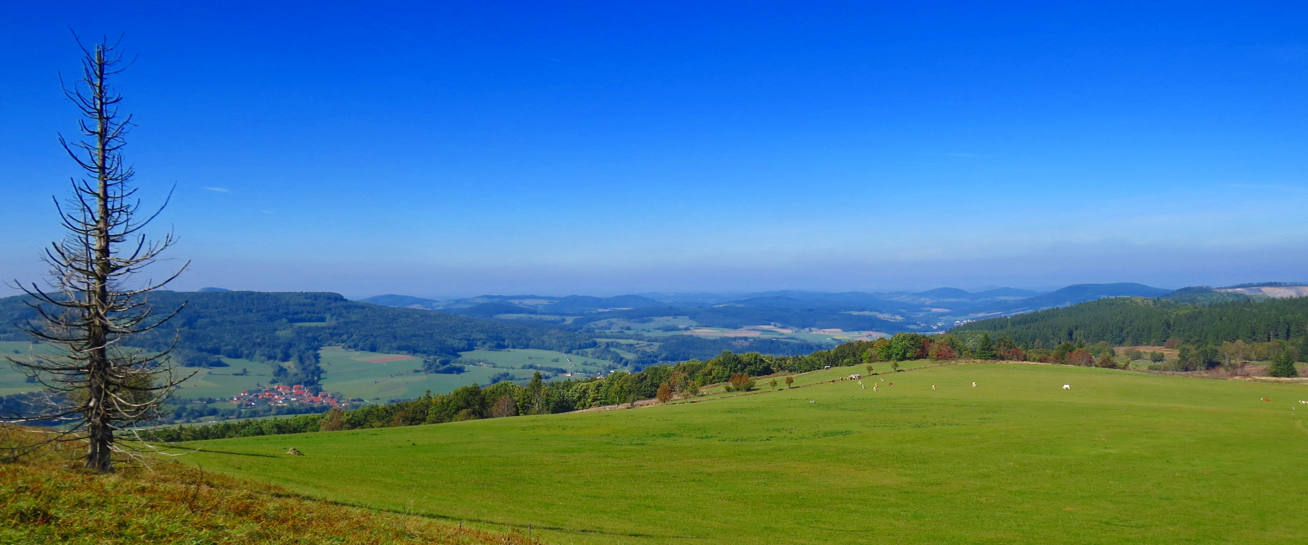 Rhön