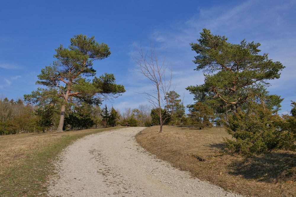 Rhön