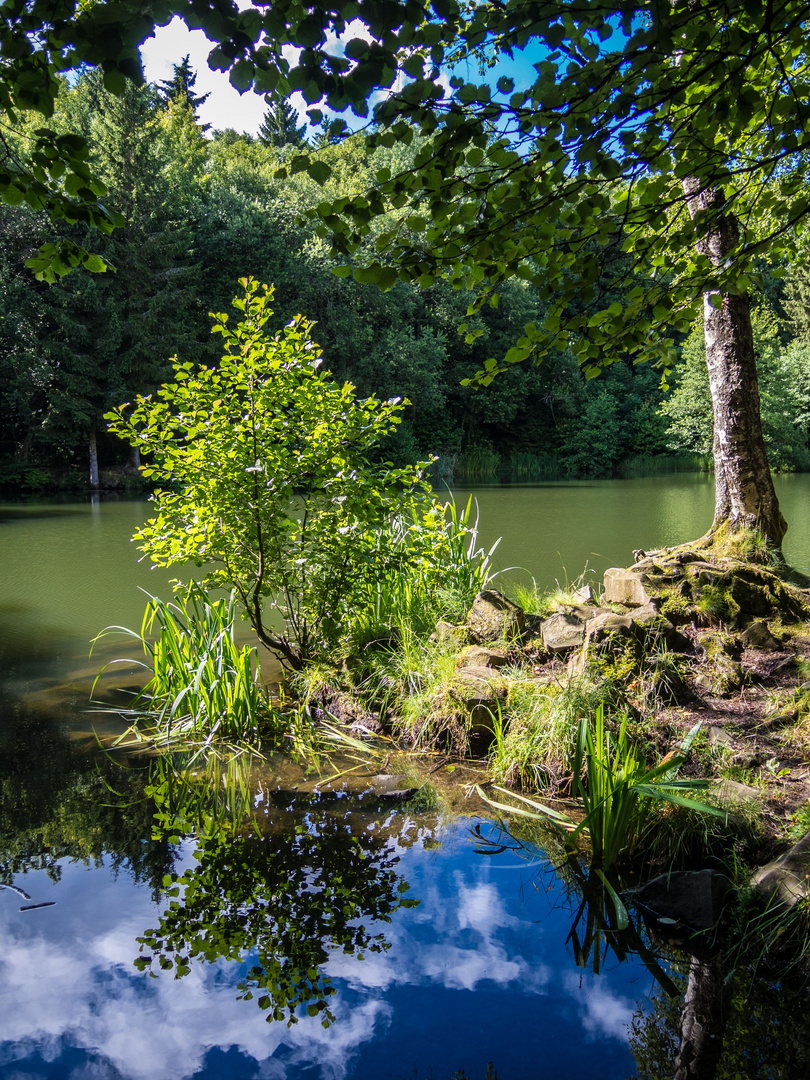 Rhön-Basaltsee