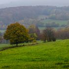 Rhön bei Bad Brückenau im Herbst