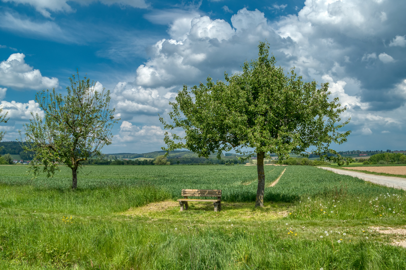 Rhön