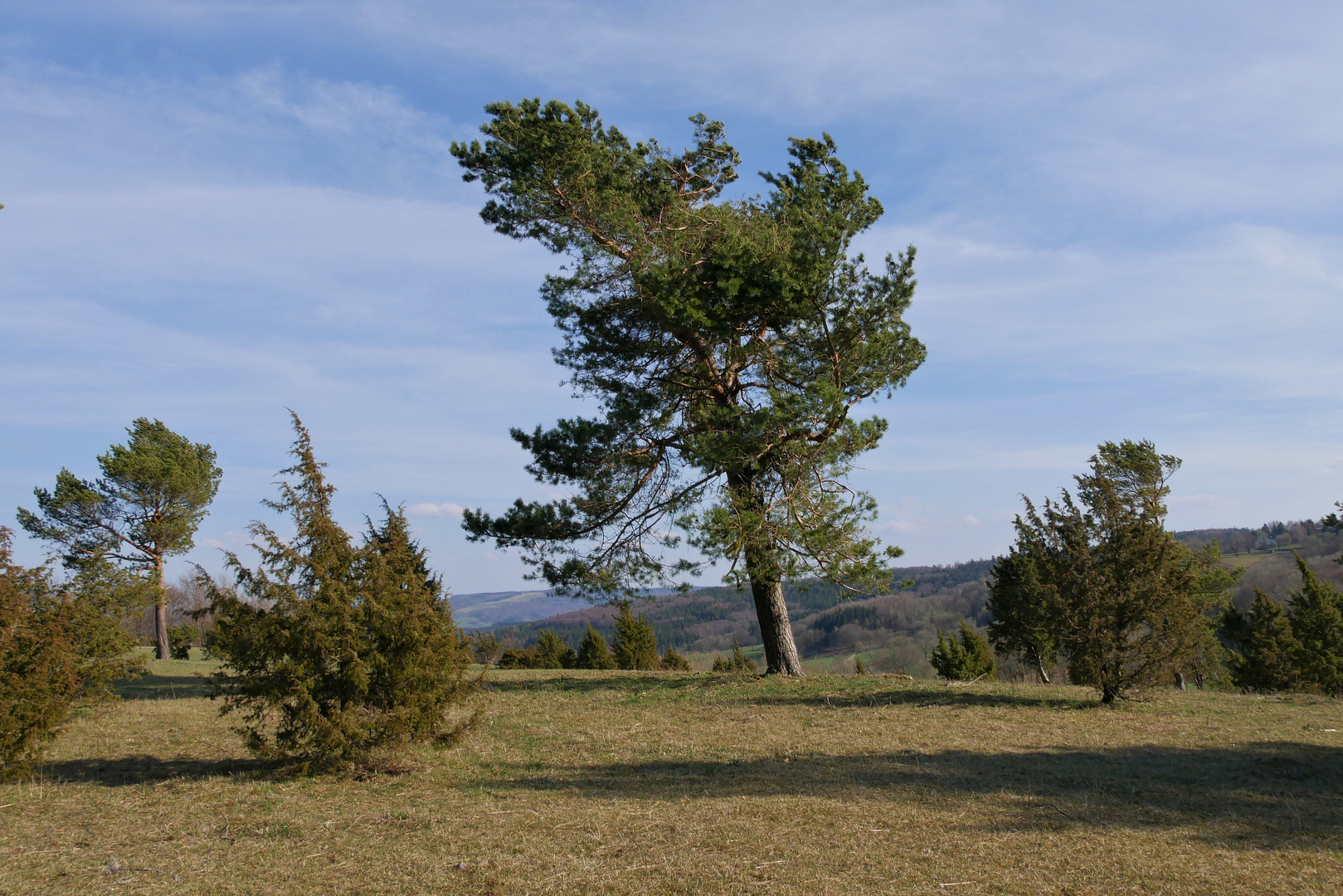 Rhön