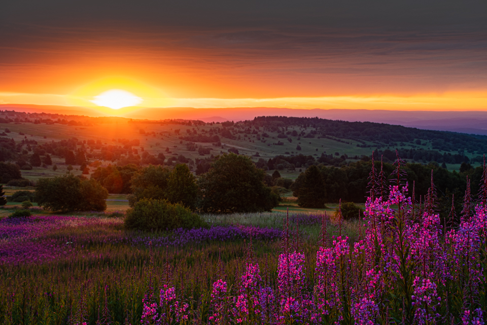 Rhön