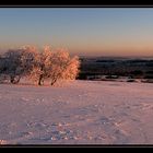 RHÖN-ERWACHEN