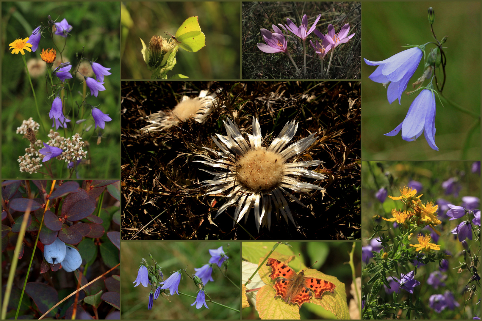 Rhön-Farben im September!