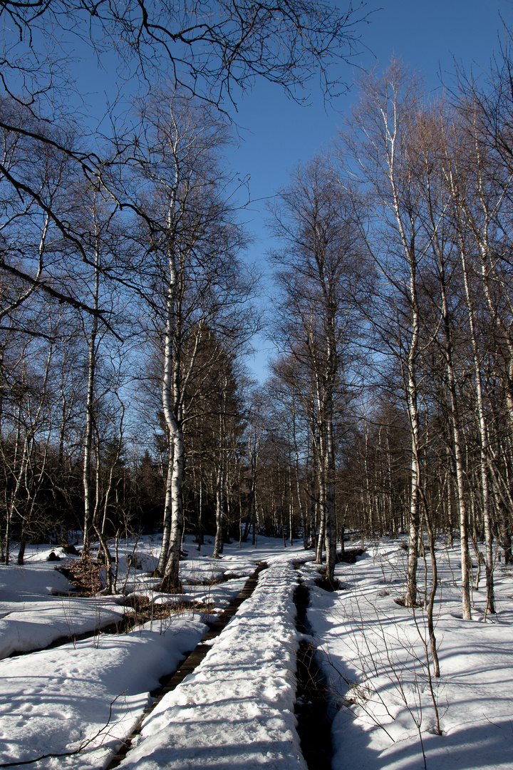 rhön - februar 2019