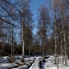 rhön - februar 2019