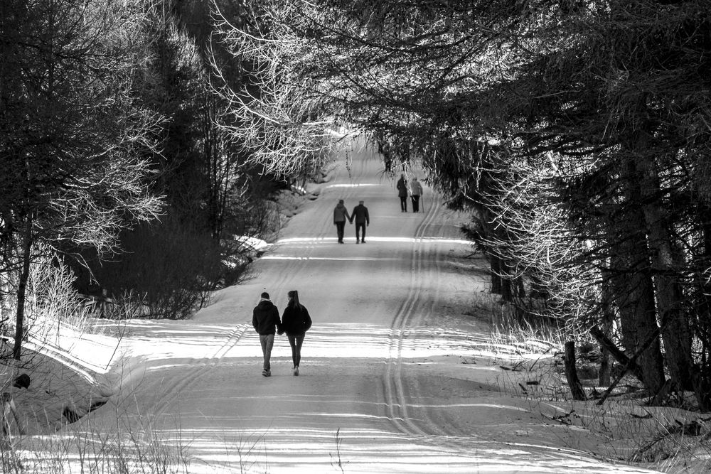 rhön - februar 2019