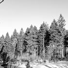 rhön - februar 2019