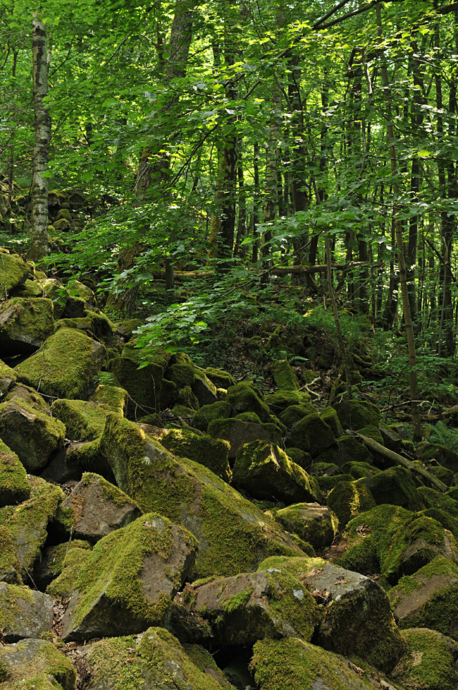 Rhön: Gangolfsberg – Basalt und Licht 01