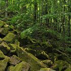 Rhön: Gangolfsberg – Basalt und Licht 01