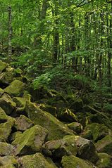 Rhön: Gangolfsberg – Basalt und Licht 01