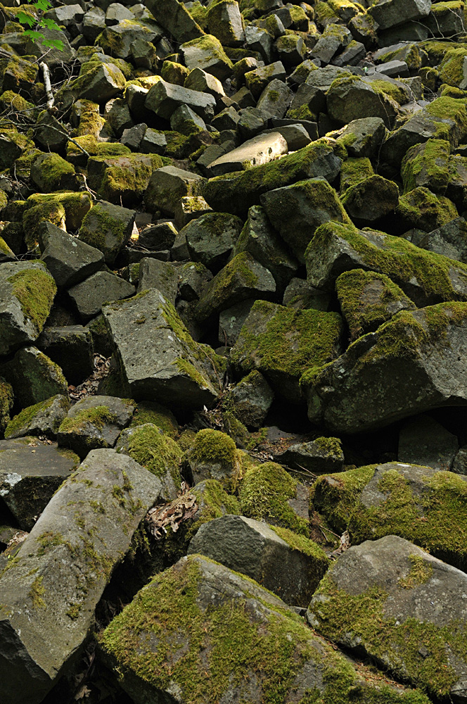 Rhön: Gangolfsberg – Basalt und Licht 02