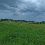 Rhön: Gewitter – Empfang 02