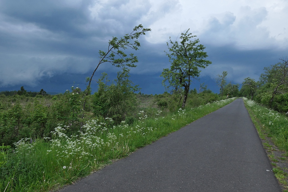 Rhön: Gewitter – Empfang 03