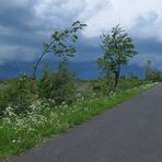 Rhön: Gewitter – Empfang 03