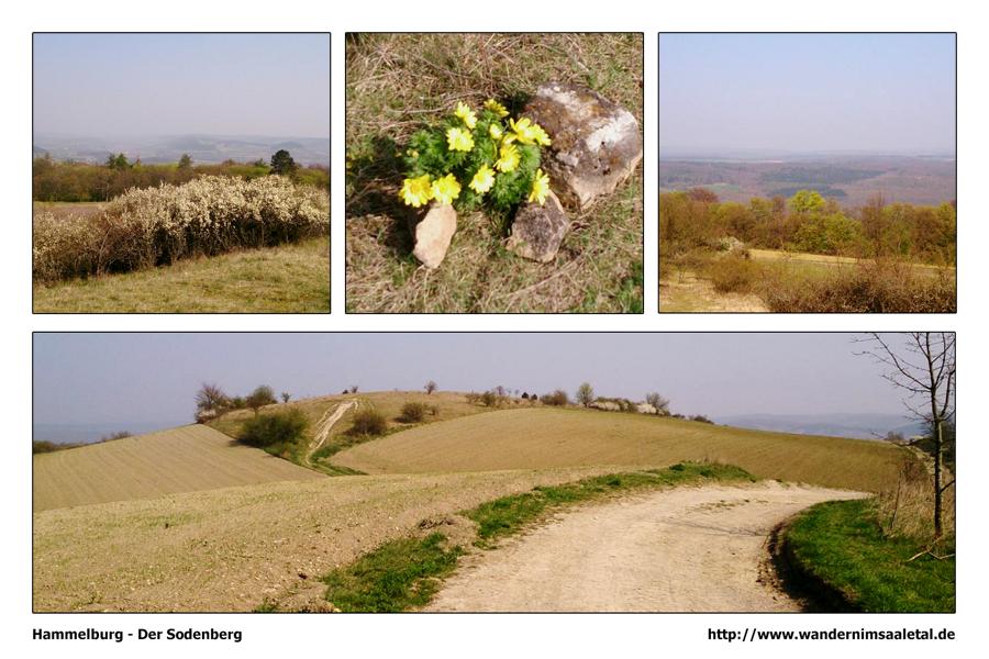 Rhön - Hammelburg - Sodenberg - Wanderbilder