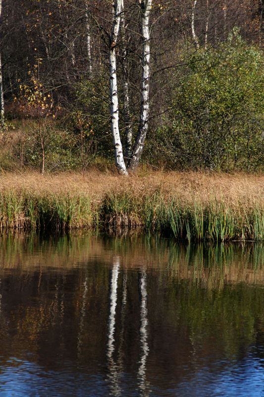 Rhön - im Roten Moor