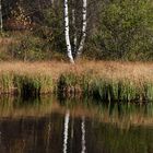 Rhön - im Roten Moor