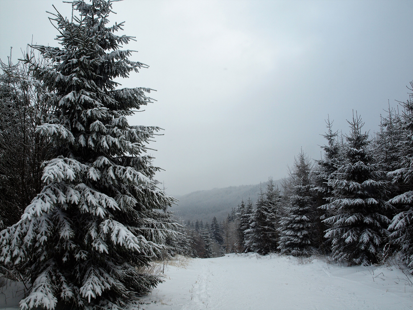 Rhön im Winter